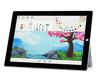 武冈Surface 无法开启、Windows 无法启动或电池无法充电
